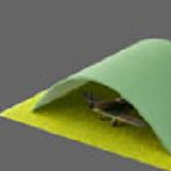 S217 Blister Hanger